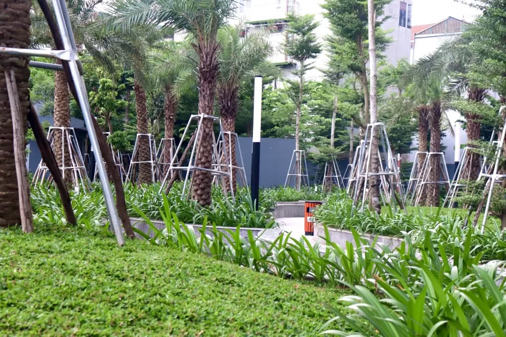 khuôn viên xanh felis homes hoàng mai